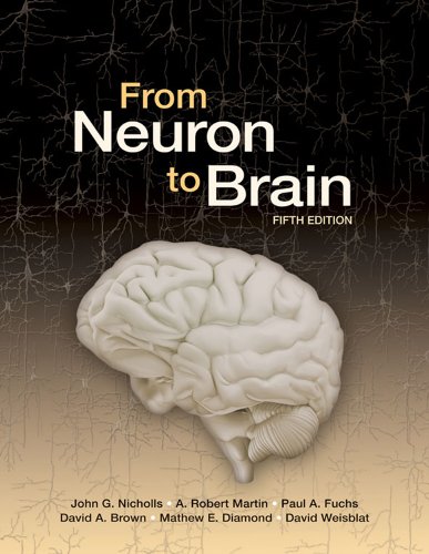 From Neuron to Brain by John G. Nicholls, A. Robert Martin, Paul A. Fuchs, David A. Brown, Mathew E. Diamond, David A. Weisblat