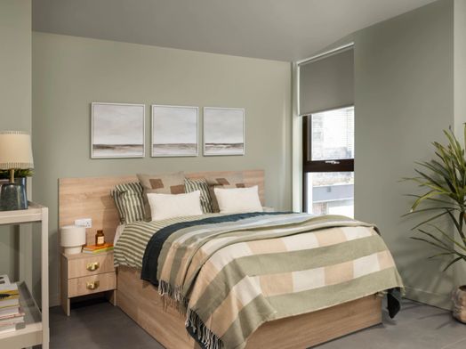 Roomy 1 Premium Studio
