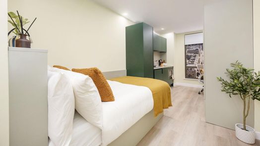 Premium Penthouse Studio