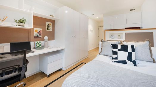 Standard Studio Gold