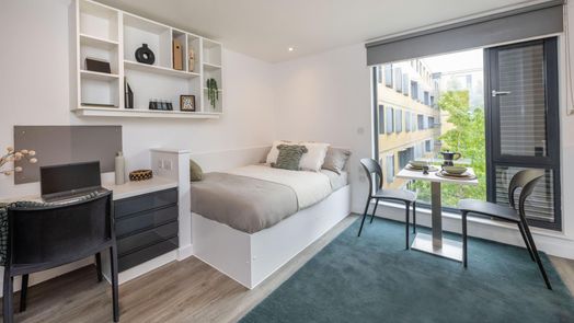 Luxe Studio Plus