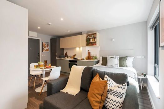 Executive Studio - Accessible Bathroom