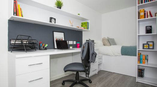 Large Standard Plus Studio