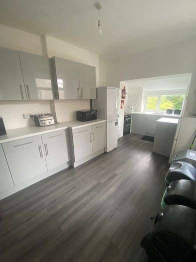 Photo of a 86 Marlborough Road - Will take 4,5 or 6.