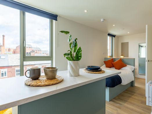 Platinum Plus Studio