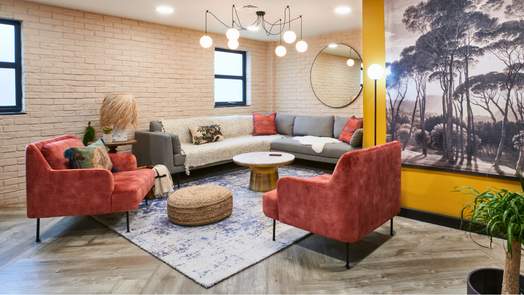 Photo of a sky Blue Point.