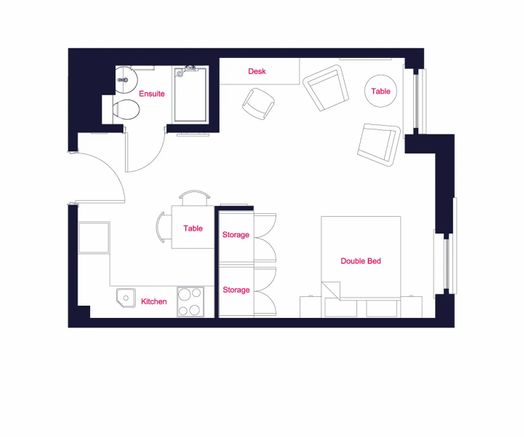 Platinum Plus Studio