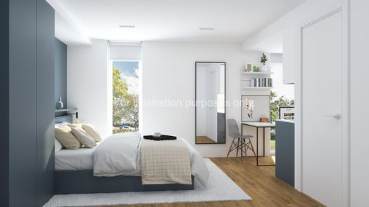 Standard Plus Studio