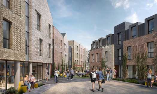 Photo of a stellaris.