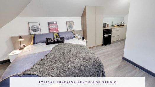 Superior Penthouse Studio