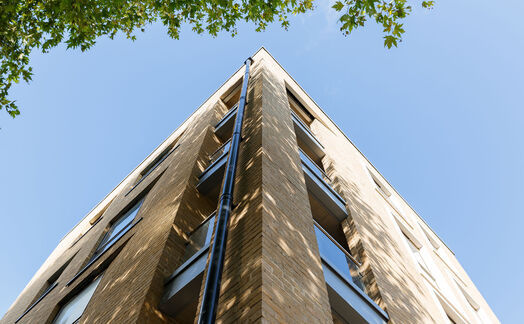 Photo of a yara Holland Park.