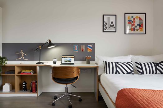 Bronze Studio - Single Occupancy