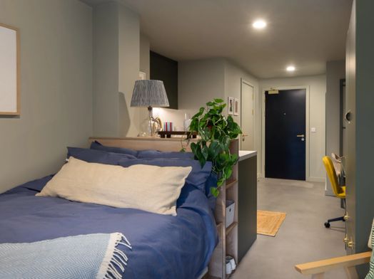 Roomy 4 Plus Studio