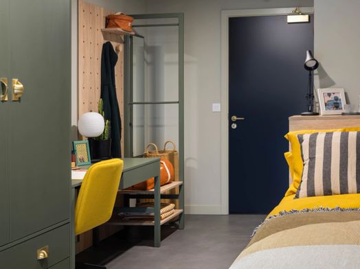 Comfy 1 Plus Studio