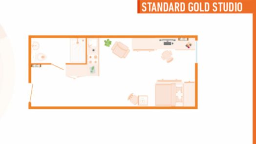 Standard Gold Studio