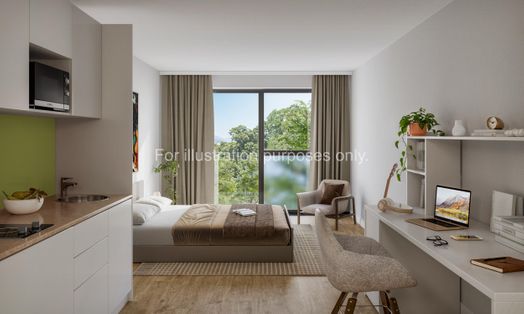 Photo of a scholars View.