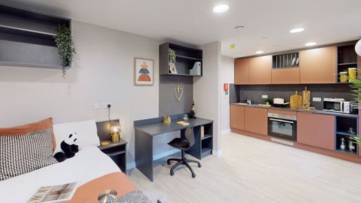 Platinum Studio