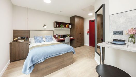 Large Premium Studio