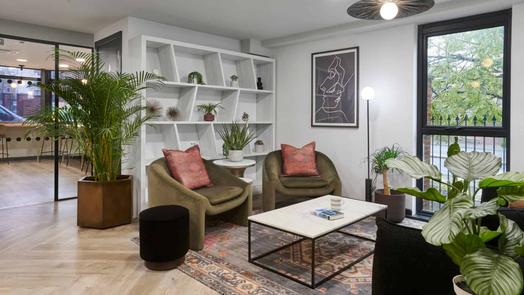 Photo of a sky Blue Point.