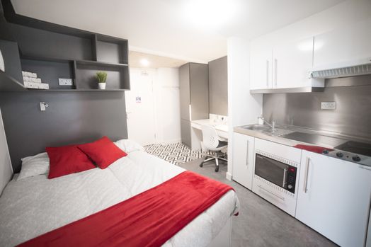 Platinum Studio (Accessible)