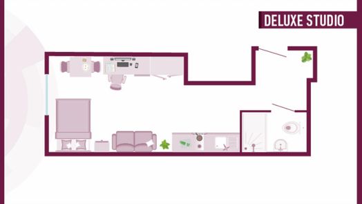 Deluxe Studio