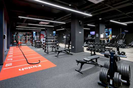 Photo of a true Swansea.