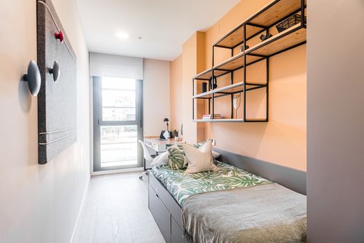 Premium Room (2-Bed)