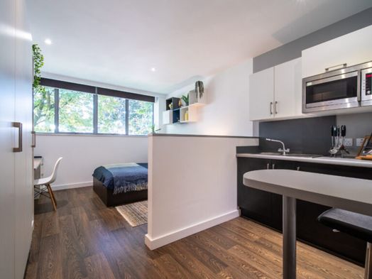 Photo of a armada House, Superior Studio.