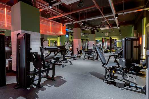 Photo of a true Leicester.