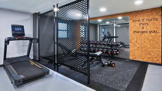 Photo of a sky Blue Point.