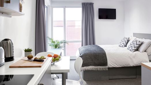 Silver Deluxe Accessible Studio