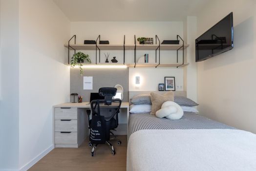 Deluxe Studio with Terrace