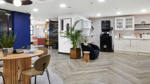 Photo of a sky Blue Point.