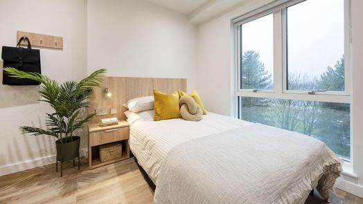 Superior Studio Floor 5-7