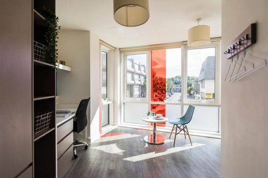 Platinum Plus Studio