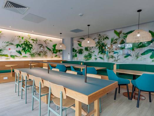 Photo of a scotland Nest Straits Meadow.