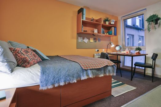 Classic Bigger Shared Apartment