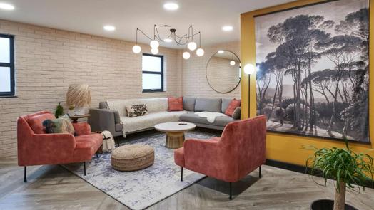 Photo of a sky Blue Point.