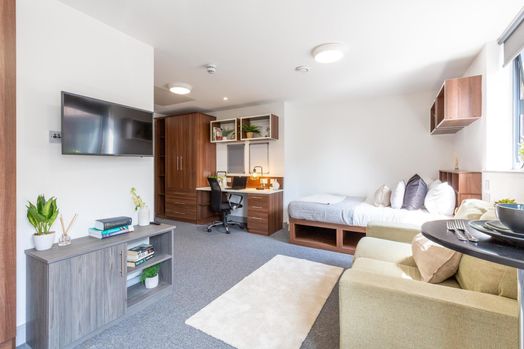 Standard Plus Studio