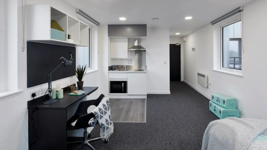 Extra Large Premium Studio