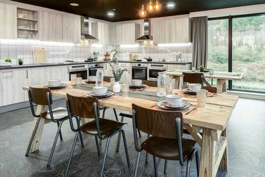 Photo of a true Swansea.