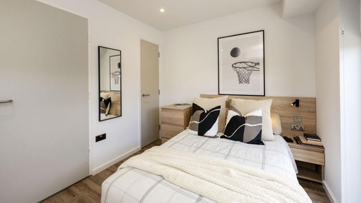 Premium Terrace Studio