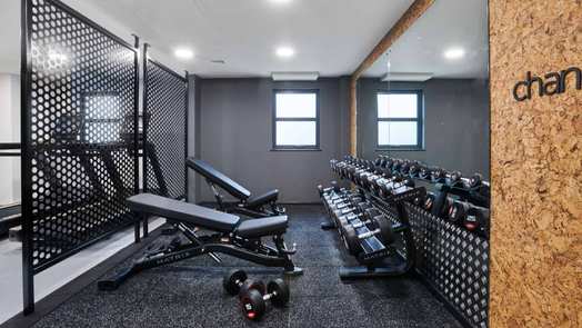 Photo of a sky Blue Point.