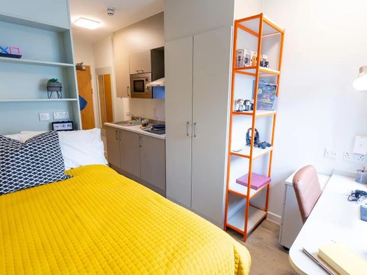 Premium Cluster Studio