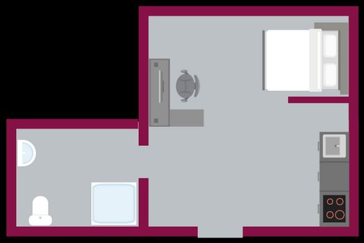 Deluxe Plus Studio
