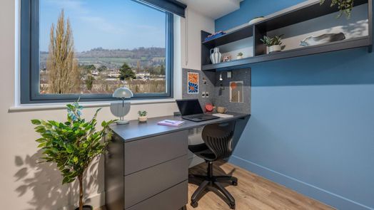 Standard Plus Studio