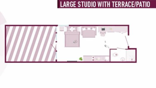Large Studio with Terrace