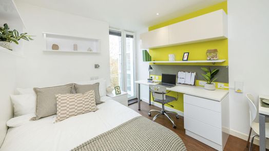 Standard Studio Bronze