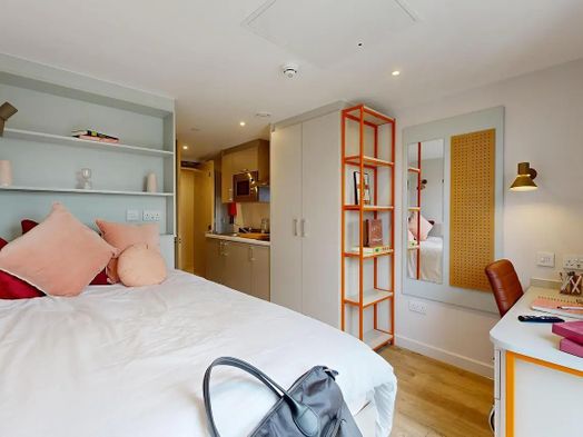 Premium Cluster Studio