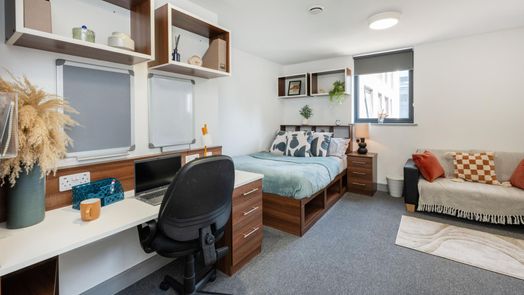 Standard Plus Studio